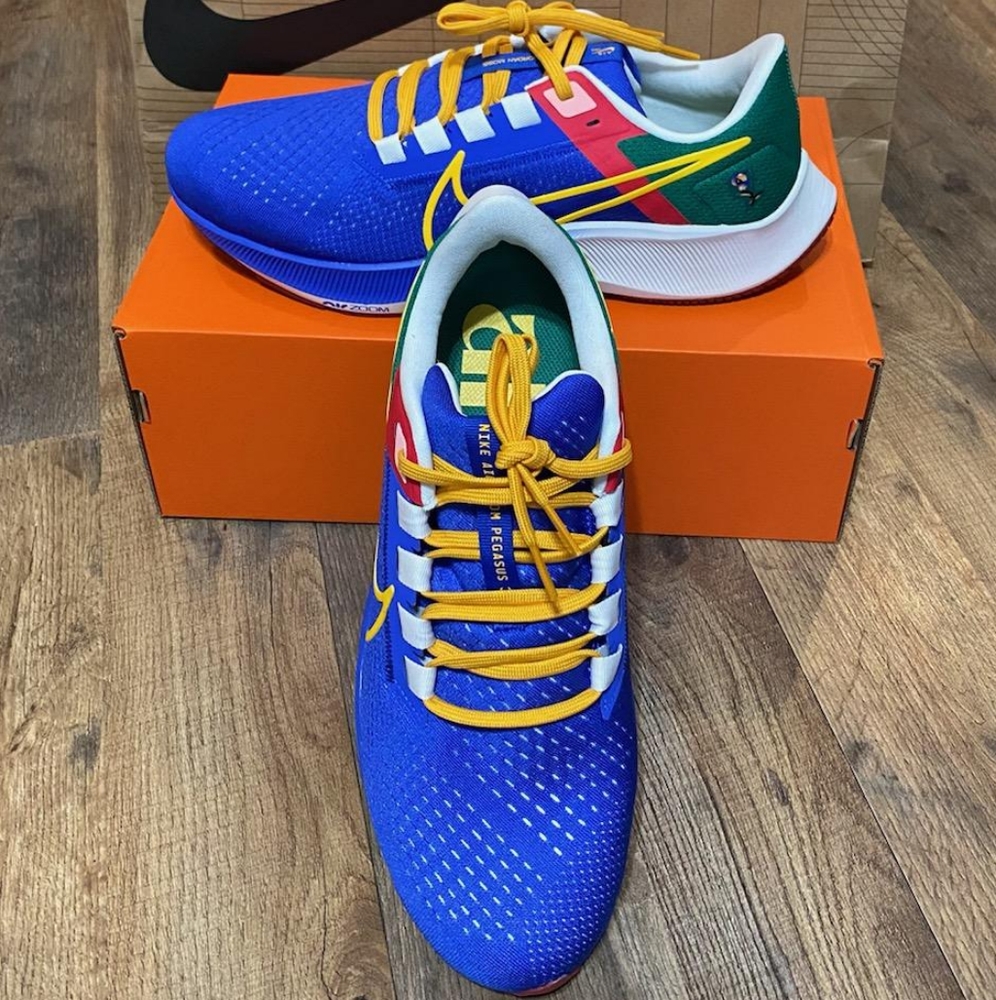 Nike Air Zoom Pegasus 38 A.I.R. Jordan Moss